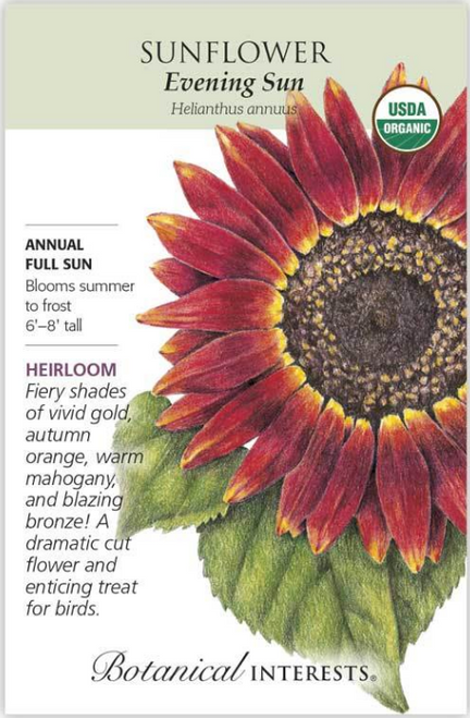 Organic Heirloom Evening Sun Sunflower Seeds