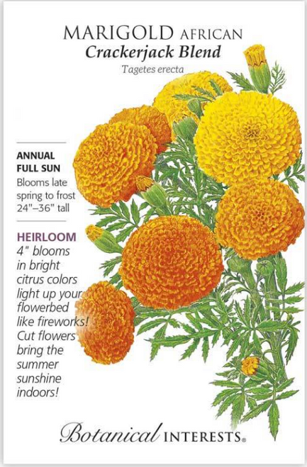 Heirloom Crackerjack African Marigold Seeds