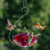 Droll Yankee Ruby Sipper Hanging Hummingbird Feeder RS-3H