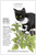 Catnip is a multi-purpose plant. The tea is very pleasant with a lemon-mint flavor and fragrance. Along with fresh catnip planted in containers indoors year-round, catnip toys filled with dried leaves will provide your feline friends with hours of fun.