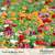 Botanical Interests Zinnia California Giants