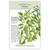 Botanical Interests Pepper Chile Shishito Org