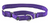 Petsafe Martingale Dog Collar 3/4" Small Purple