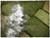 Game mat - Aerial Fields - Cloth, 4x6