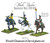 Black Powder: French Chasseurs a Cheval Light Cavalry