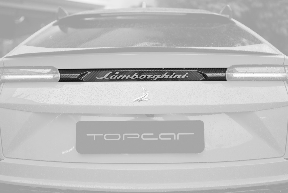 Carbon Fiber Lamborghini Urus Plate