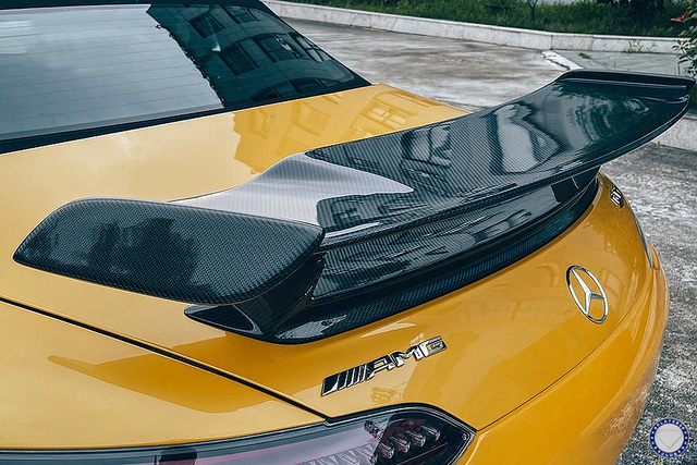 AMG GT Wing