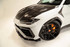 Widebody Lamborghini Urus Carbon Fiber Door Moldings