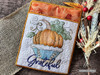 Pumpkin  Bundle   - Instant Downloadable Machine Embroidery - Light Fill Stitch