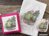 Succulents 1 Pot Holder  - Embroidery Designs & Patterns