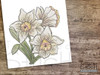 March Daffodils Bundle  - Embroidery Designs