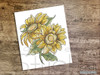 Sunflowers Bundle - Embroidery Designs & Patterns