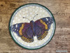 June Butterfly of the Month - Red Admiral Coaster- Embroidery Designs & Patterns