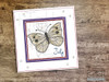 July Butterfly of the Month - White Cabbage Bundle - Embroidery Designs & Patterns