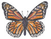 Butterflies of the Month Bundle - Embroidery Designs & Patterns