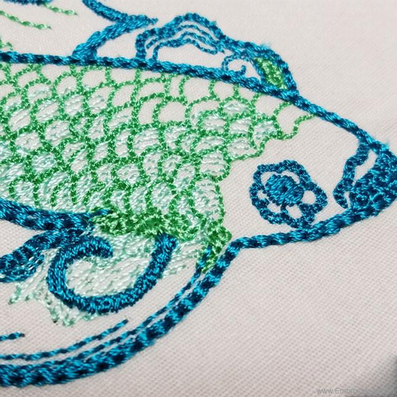 Inquisitive Betta Fish - Embroidery Designs
