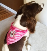 Make a Sassy Bandana For Your Family Pet!