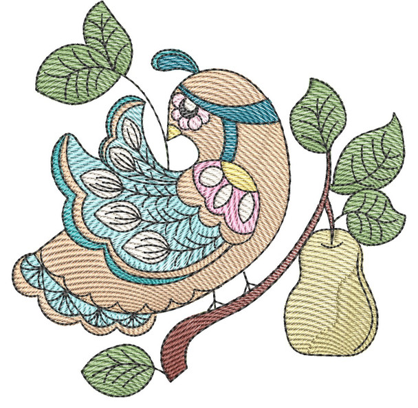 Partridge - Embroidery Designs & Patterns