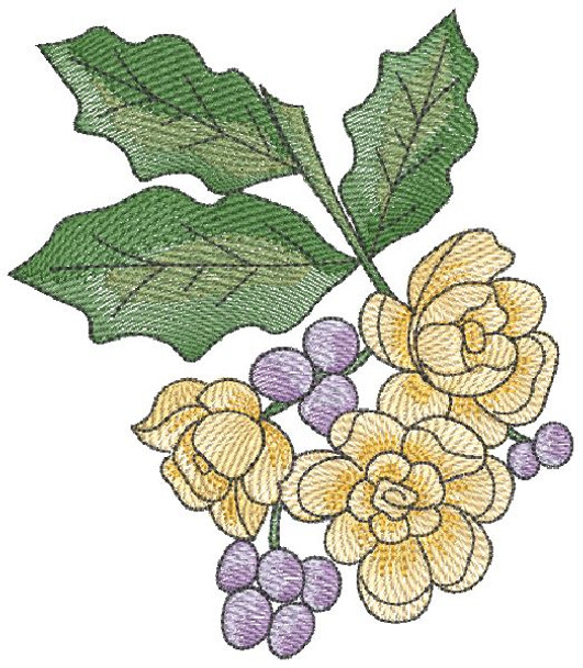 Oregon - Oregon Grape - Embroidery Designs