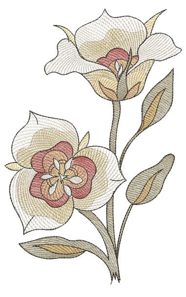 Utah - Sego Lily - Embroidery Designs