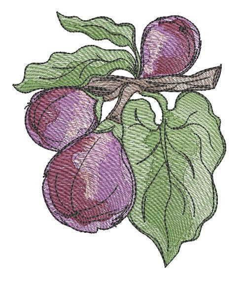 Figs - Machine Embroidery Designs & Patterns