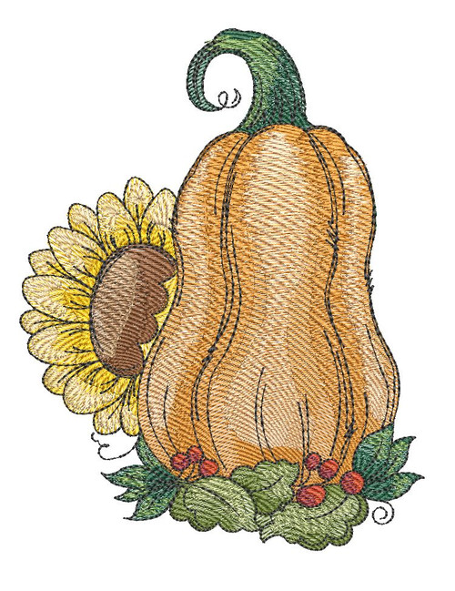 Sunflower & Squash