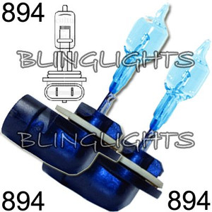 894 Size Bright White Halogen Replacement Light Bulbs Bulb Set Pair 894 Size Bright White Halogen Replacement Light Bulbs Bulb Set Pair
