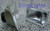 1990 1991 Plymouth Laser JDM DSM Foglamps Foglights Fog Lamps Driving Lights drivinglights Kit 1990 1991 Plymouth Laser JDM DSM Foglamps Foglights Fog Lamps Driving Lights drivinglights Kit