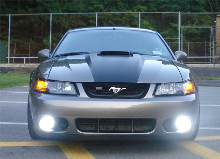 Angel Eye Fog Lights Kit for 1999-2004 Ford Mustang GT SVT Cobra Body