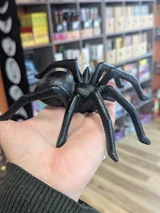 Spider Cast Iron