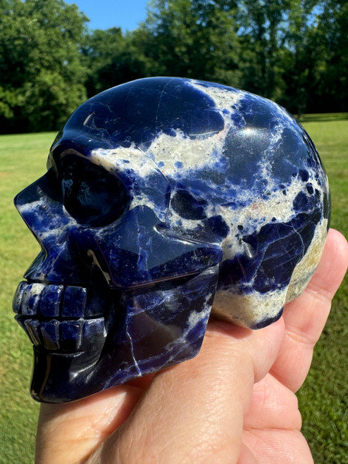 Sodalite Crystal Skull XL