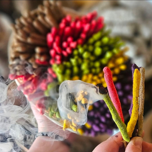 Dipped Sage Branch 4 Sticks SANDALWOOD