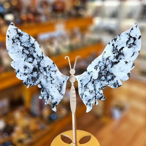 Rainbow Moonstone Butterfly Wings with Stand 