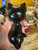Cat Black Obsidian Statue