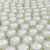 Tulip Fields 8oz Soy Candle 