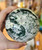 Moss Agate Sphere, 3lbs 6oz, X-Large