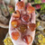 Carnelian Heart, Small 