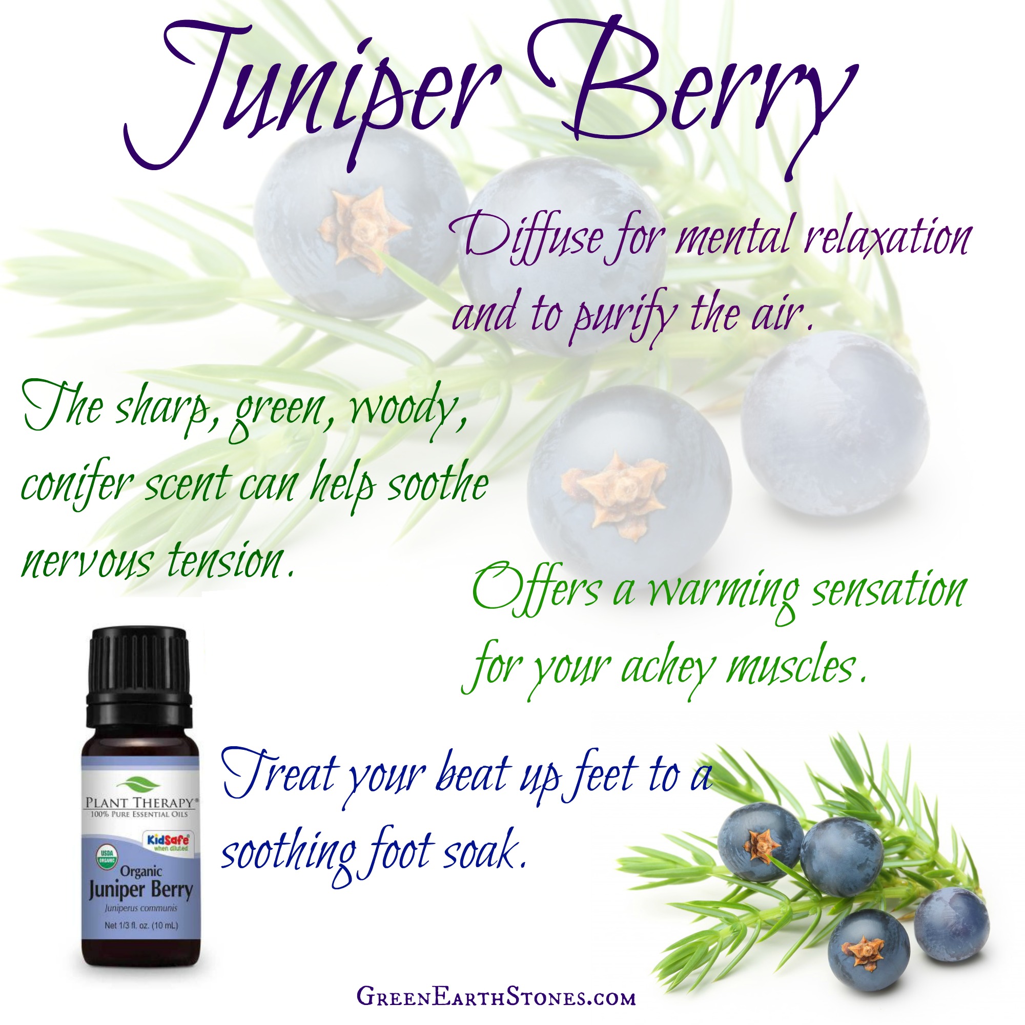 Juniper Berry Organic Essential Oil