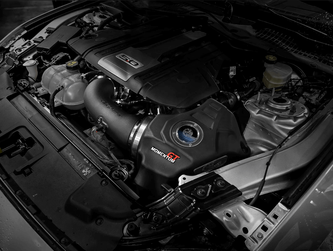 aFe Momentum GT Pro 5R Cold Air Intake For 18-23 Ford Mustang GT - 50-70033R