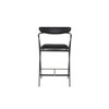 Gianni Counter Stool - Raven