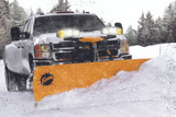 FISHER® HD2™ Straight Blade Snow Plow
