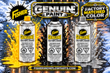 GENUINE FISHER SNOWPLOW PAINT