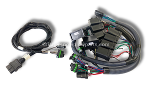 Elevate your snowplowing experience with the 85973-2 Fisher Snowplow Vehicle Lighting Harness Kit, tailored for 2023-2027 Ford Super Duty trucks with Halogen truck lights

Crafted to ensure optimal performance and durability, this genuine replacement harness enhances your truck's halogen lighting system, making winter driving safer and more efficient.

Compatible with 2023-2027 Ford Super Duty models
High-quality, weather-resistant construction
Easy installation for hassle-free upgrades
Ensures reliable performance in harsh winter conditions
Trusted brands: Fisher, Western, SnowEx

Stay prepared for any winter challenge with this essential lighting harness kit!