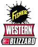 26357 - FISHER - WESTERN - SNOWEX SNOWPLOWS GENUINE REPLACEMENT PART - 11 VEHICLE LIGHTING HARNESS - MODULE PORT A/2 TO TRUCK GRILL HARNESS

USED IN KITS, 29049, 29053, 31051, 74973-1, 8436, 8437, 8438, 8439, 8442, 8443, 27480-1, 27780, 28400