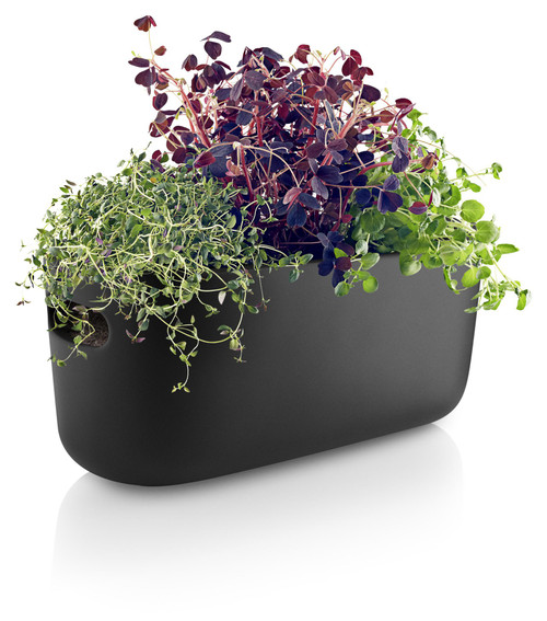 Eva Solo Self-Watering Herb Organizer - Black