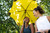 Blunt Metro Umbrella
