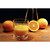 Shtox Rotating Glass