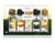 Tea Tasting Assortment Single Steeps® - 15 Single Steeps Pouches