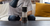 Stagg [XF] Pour-Over Set