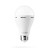 Blackout Backup - Emergency Bulb